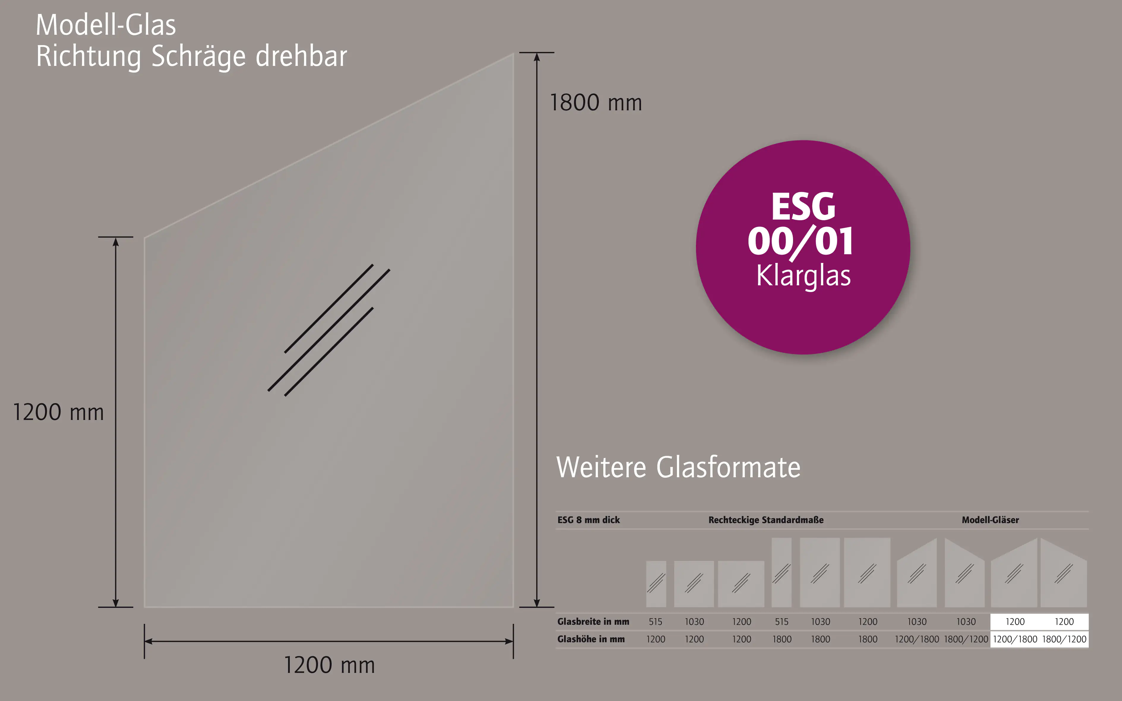 Ambiente Glaszaun Dekor 00/01 schräg 120 x 120/180 cm gehärtetes 8 mm Glas