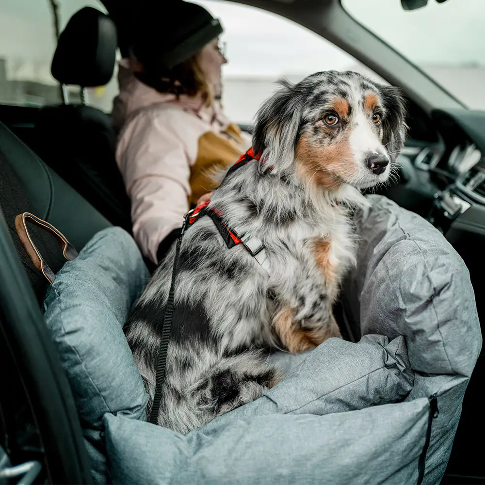 Nobby Hunde Autositz & Reisebett Bena hellgrau