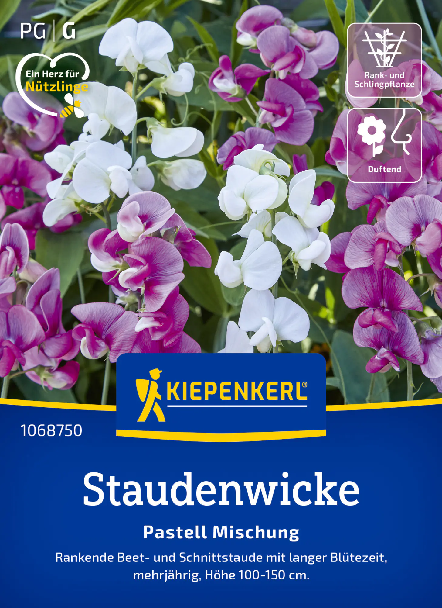 Kiepenkerl Blumensamen Staudenwicken Pastell Mischung für ca. 15 Pflanzen