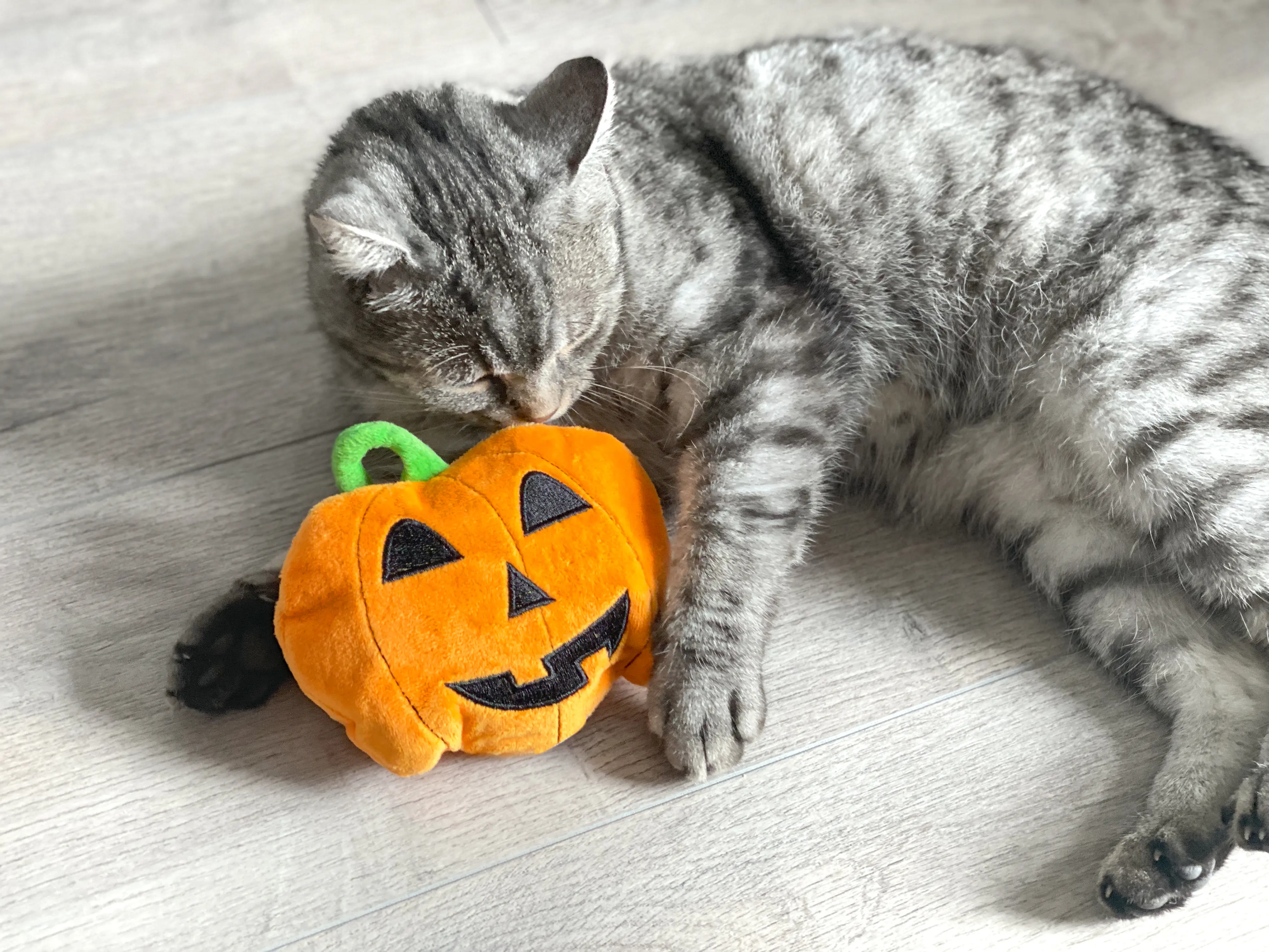 Aumüller Katzenspielzeug Kürbis 15 cm orange