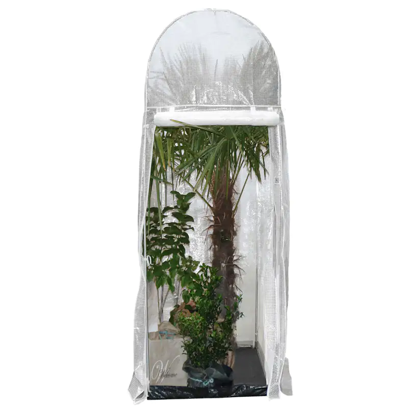 Videx Überwinterungszelt Palmen Palm Protect 250 x 100 cm transparent