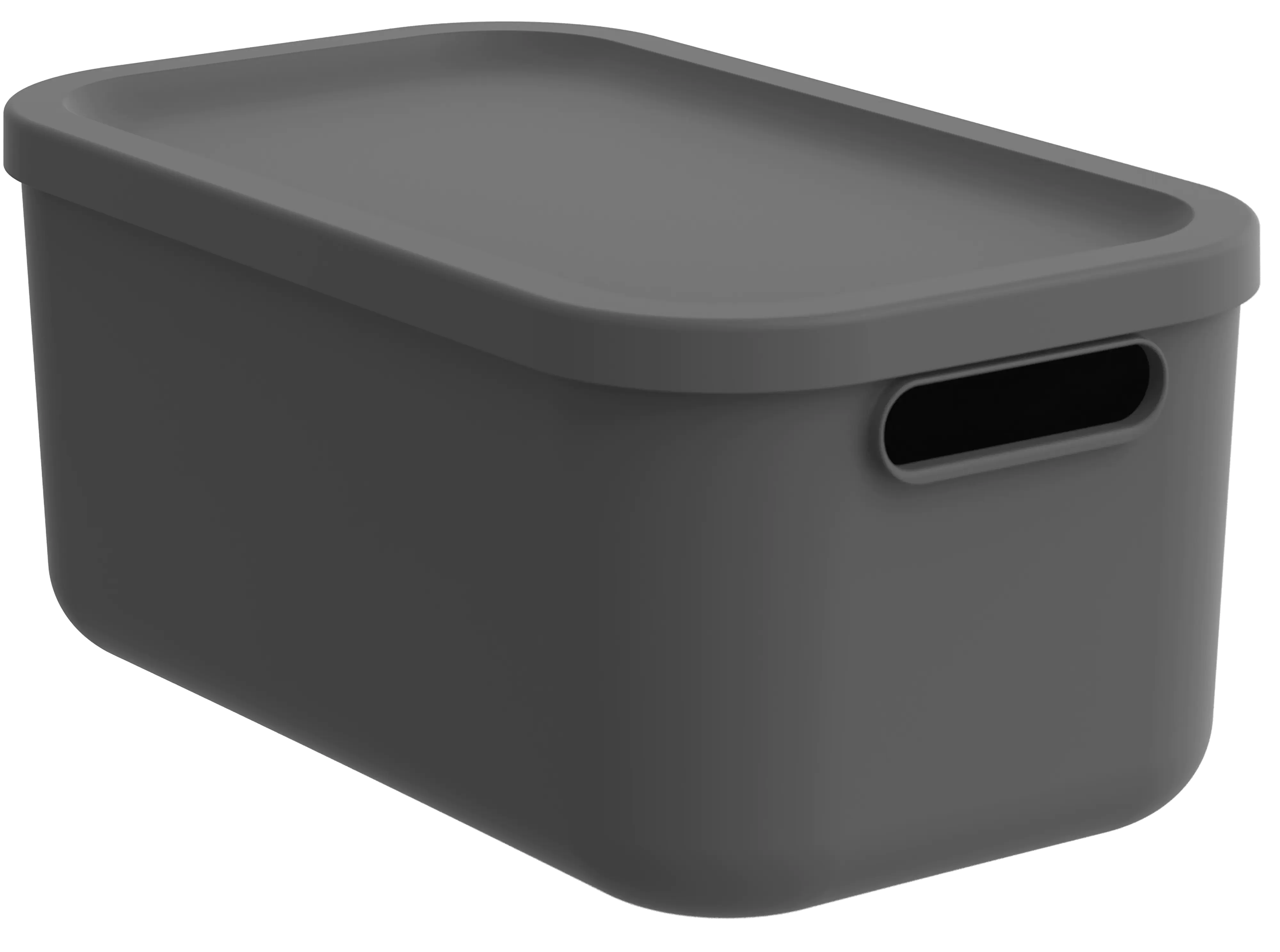 Rotho Aufbewahrungsbox Albula mit Deckel 17,5 x 39,5 cm 12 L anthrazit