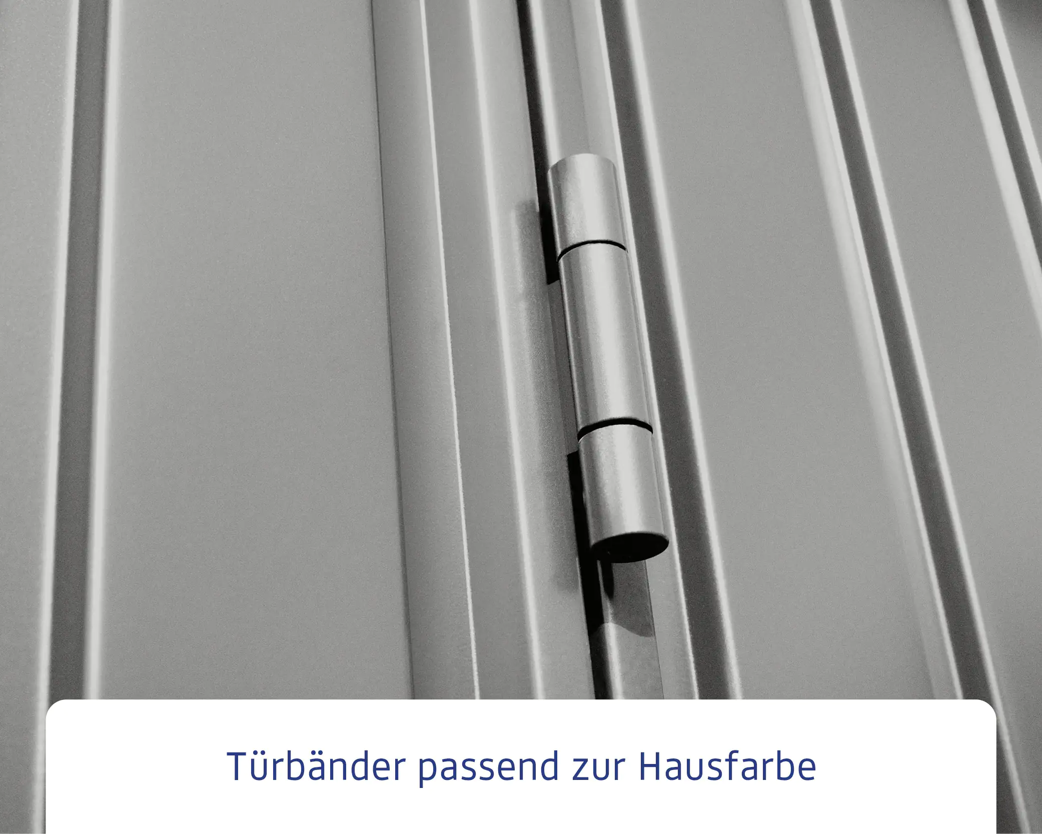 EcoStar Gerätehaus Trend-S Typ 2 258,8 x 247,7 x 216 cm graualuminium