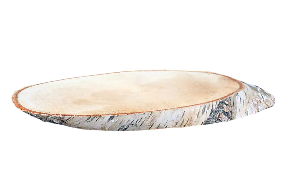 Birkenholzscheiben oval 100% Natur 35-38 cm ø