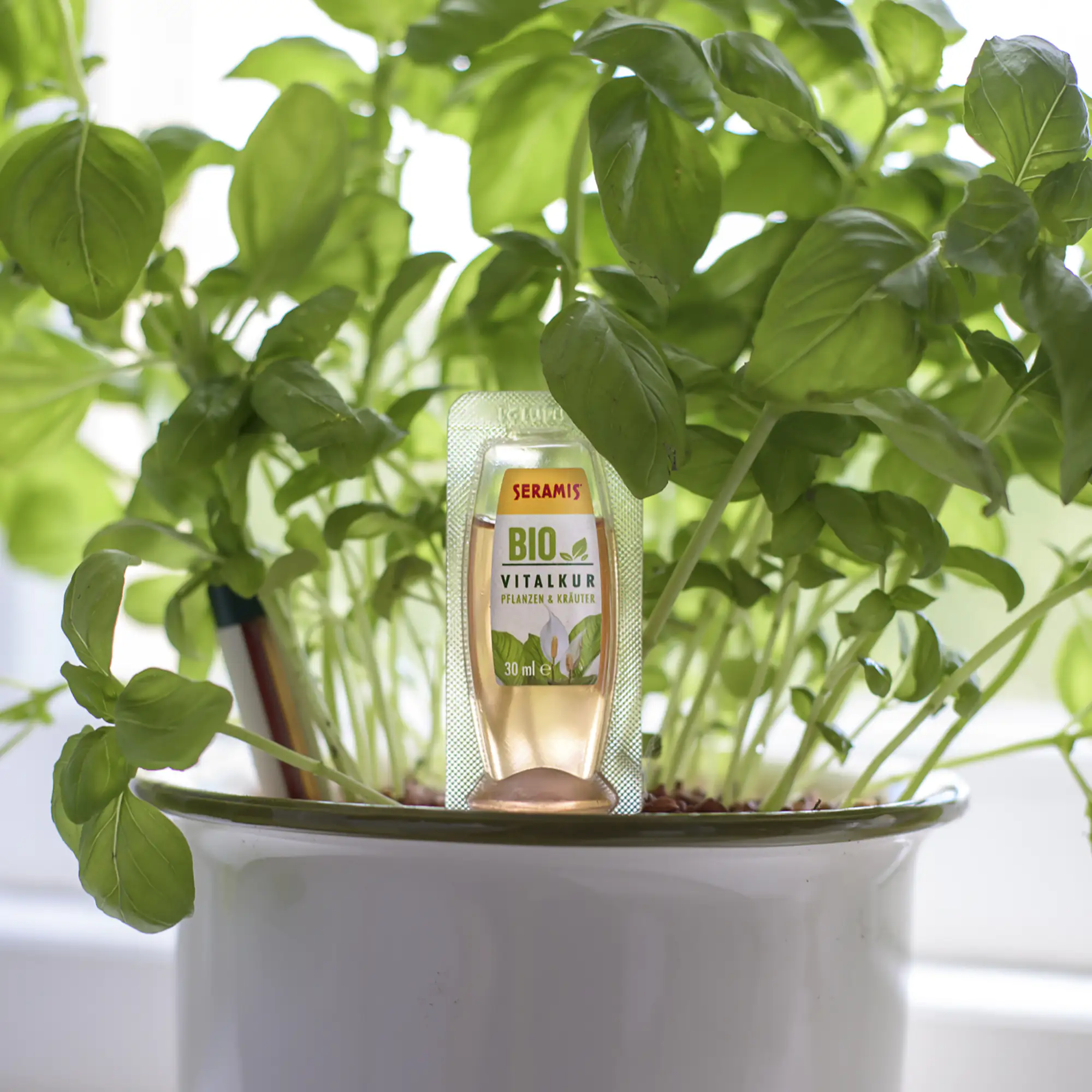 Seramis Pflanz-Granulat für Zimmerpflanzen 15 l + 2 Bio-Vitalkuren gratis