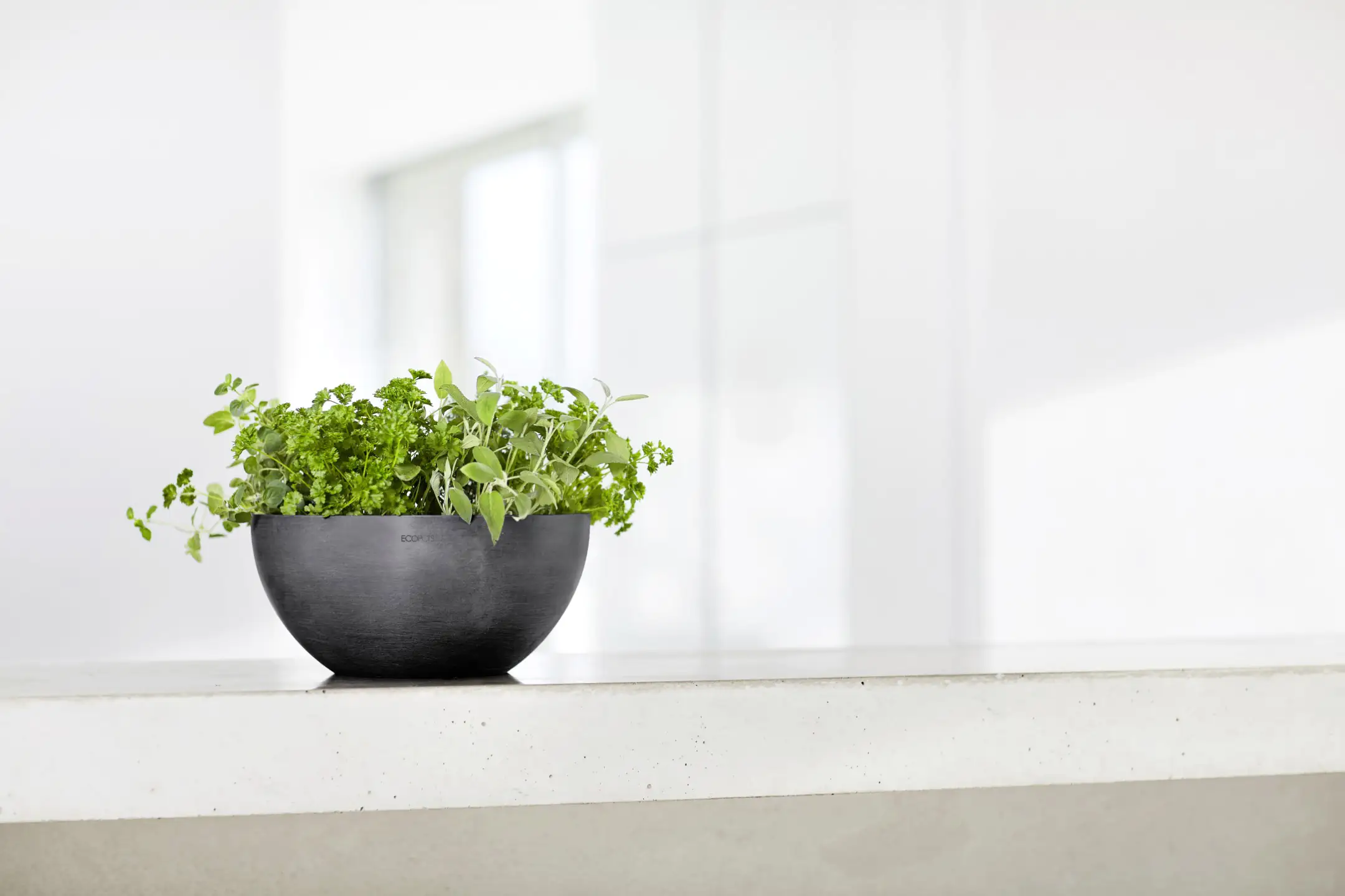 Ecopots Pflanztopf Brussels Ø 25 x 12 cm dunkelgrau