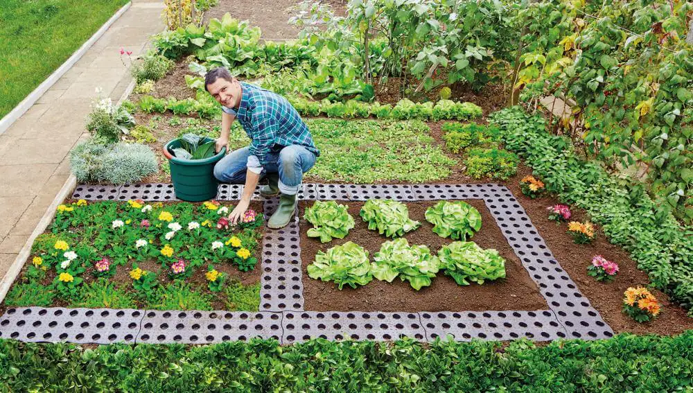 Garantia Beetplatte Maxi 70 x 24 cm