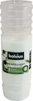 Bolsius Nachfüller für Laterne weiß, Höhe 17,5 cm, Ø 5,7 cm