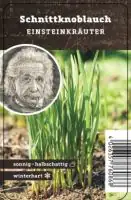 Einsteinkräuter - Schnittknoblauch 12 cm Topf