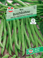Sperli Buschbohne Maxi