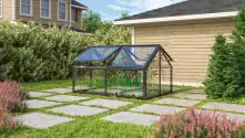 Vitavia Hochfrühbeet Zola 89 x 124 x 71 cm 3 mm ESG