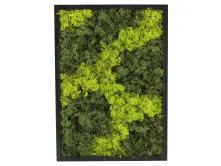 Moosbild rechteckig 38 x 28 cm mit echtem Moos