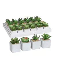 Mica Kunstpflanze Sukkulente im Topf grün 8 x 5 cm