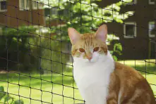 Nobby Katzenschutznetz schwarz Größe L 8 x 3 m