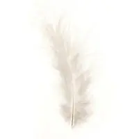 Glorex Marabufedern weiß ca. 15 Stück