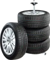 TrendLine Felgenbaum bis Reifenbreite 225 mm inkl. Reifenschutzhülle