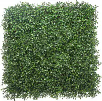 Garden Deluxe Pflanzenwand Buchsbaum 50 x 50 cm